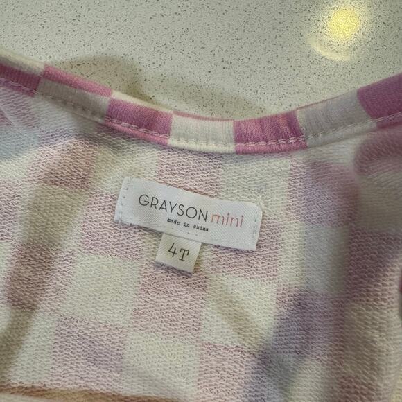 Grayson Mini Toddler Girl 4T Checkered Pink Dress NWT - Picture 5 of 5